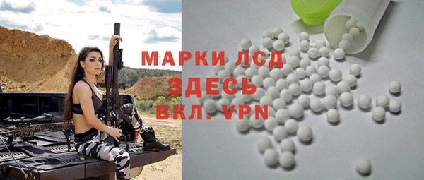 PSILOCYBIN Аркадак