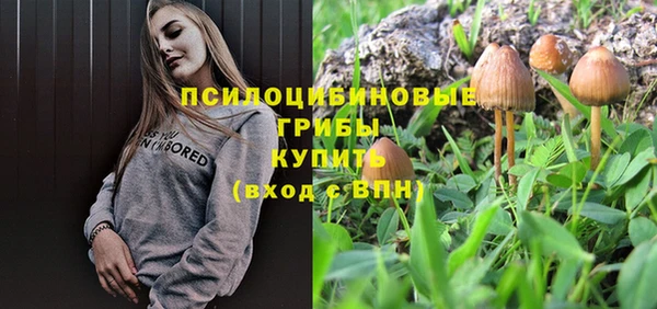 mdpv Армянск