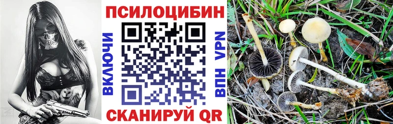 KRAKEN рабочий сайт  Миньяр  Галлюциногенные грибы Psilocybine cubensis 
